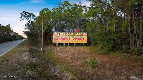 0 Pineland Trl, Ormond Beach, FL 32174 photo 15