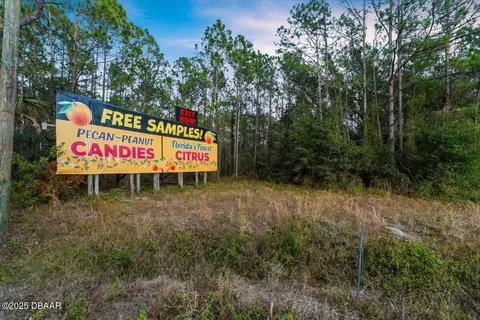 0 Pineland Trl, Ormond Beach, FL 32174 photo 22