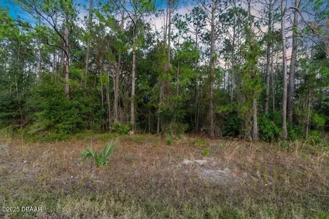 0 Pineland Trl, Ormond Beach, FL 32174 photo 19