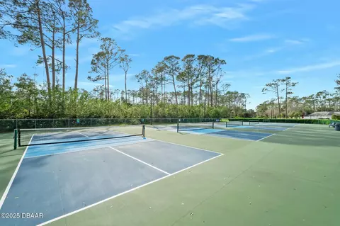 View/Area - 36 Black Pine Way, Ormond Beach, FL 32174 photo 15 of 16