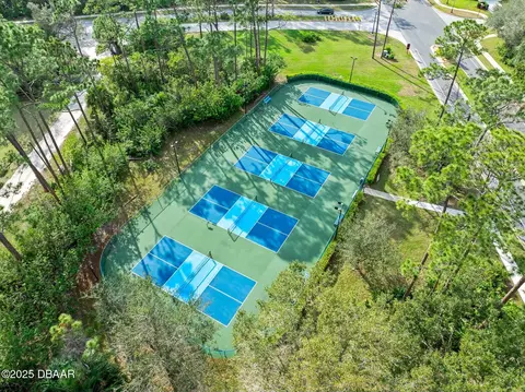 View/Area - 36 Black Pine Way, Ormond Beach, FL 32174 photo 9 of 16