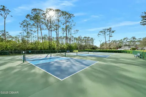View/Area - 36 Black Pine Way, Ormond Beach, FL 32174 photo 16 of 16