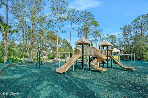 View/Area - 36 Black Pine Way, Ormond Beach, FL 32174 photo 14 of 16