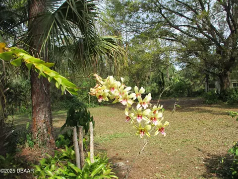 Exterior - 10825 154th Rd N, Jupiter, FL 33478 photo 4 of 11