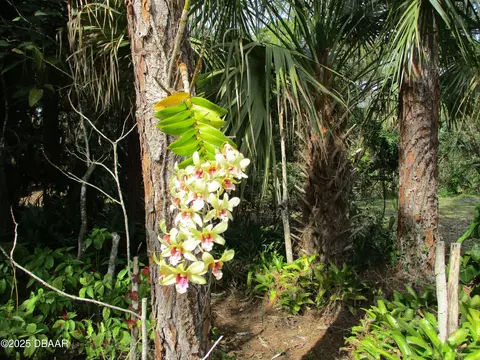 Other - 10825 154th Rd N, Jupiter, FL 33478 photo 5 of 7