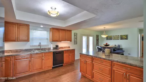 1315 Umbrella Tree Dr, Edgewater, FL 32132 photo 8