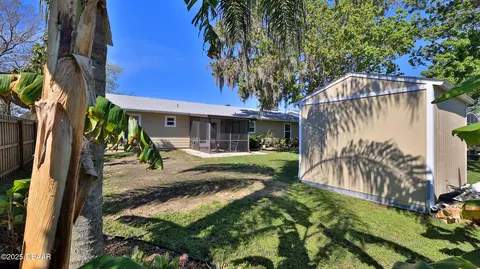 1315 Umbrella Tree Dr, Edgewater, FL 32132 photo 26