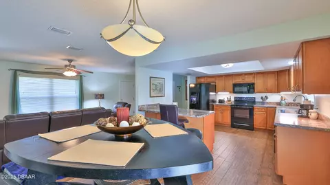 1315 Umbrella Tree Dr, Edgewater, FL 32132 photo 9