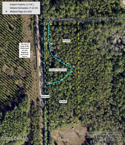 3789 Pine Pitch Ct, Ormond Beach, FL 32174 photo 7