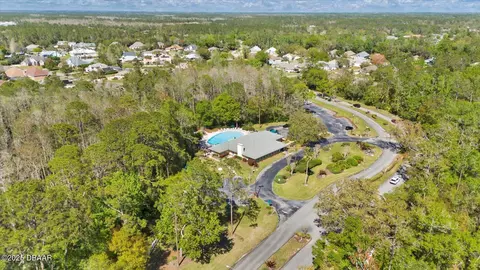 View/Area - 38 Herringbone Way, Ormond Beach, FL 32174 photo 6 of 23