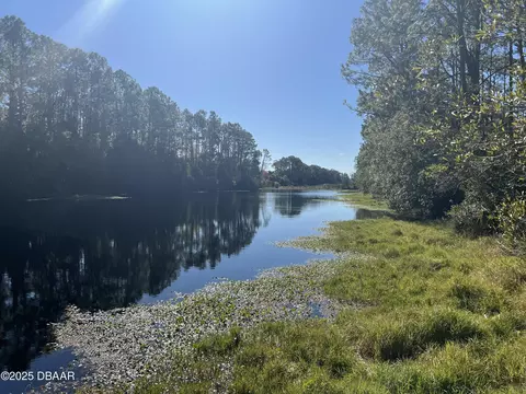 View/Area - 46 Winchester Rd, Ormond Beach, FL 32174 photo 2 of 17