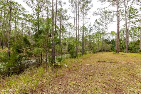 Other - 46 Winchester Rd, Ormond Beach, FL 32174 photo 17 of 24