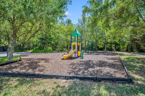 View/Area - 225 River Vale Ln, Ormond Beach, FL 32174 photo 2 of 2