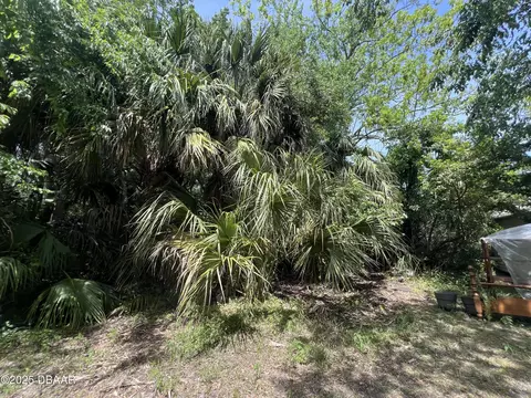 299 Washington Pl, Ormond Beach, FL 32174 photo 5