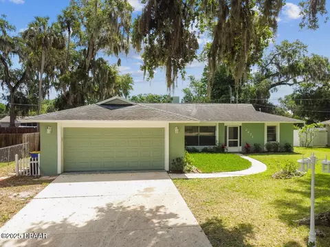 Exterior - 2421 Needle Palm Dr, Edgewater, FL 32141 photo 6 of 7