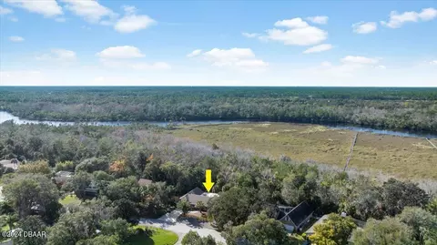 View/Area - 304 River Bluff Dr, Ormond Beach, FL 32174 photo 8 of 9