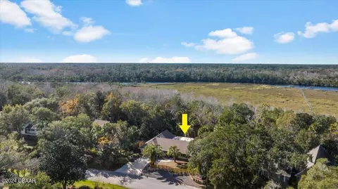 View/Area - 304 River Bluff Dr, Ormond Beach, FL 32174 photo 9 of 9