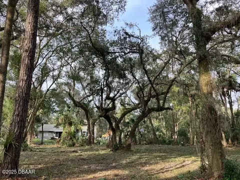 1644 Shell Harbor Rd, Pierson, FL 32180