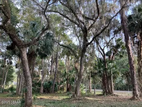 1644 Shell Harbor Rd, Pierson, FL 32180 photo 2