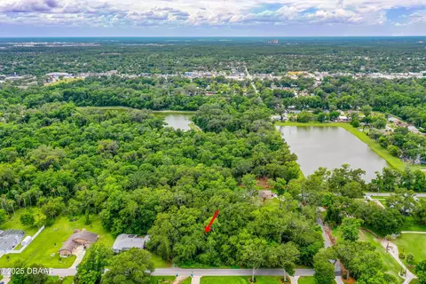 3 Timber Trl, Holly Hill, FL 32174 photo 6