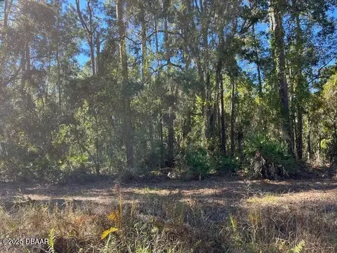 125 E Boundary Dr, Georgetown, FL 32139 photo 1