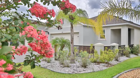 349 Caryota Ct, New Smyrna Beach, FL 32168