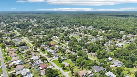 2704 Yule Tree Dr, Edgewater, FL 32141 photo 39