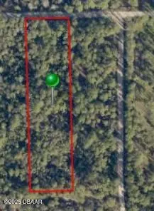 938 Falcon Roost Ln, New Smyrna Beach, FL 32168
