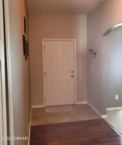 229 Tree Branch Ln, Edgewater, FL 32141 photo 29