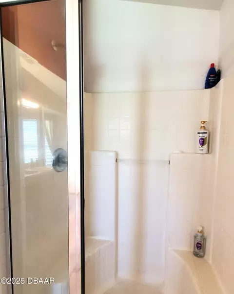 229 Tree Branch Ln, Edgewater, FL 32141 photo 17