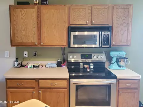 229 Tree Branch Ln, Edgewater, FL 32141 photo 5