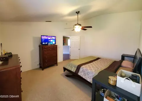229 Tree Branch Ln, Edgewater, FL 32141 photo 13