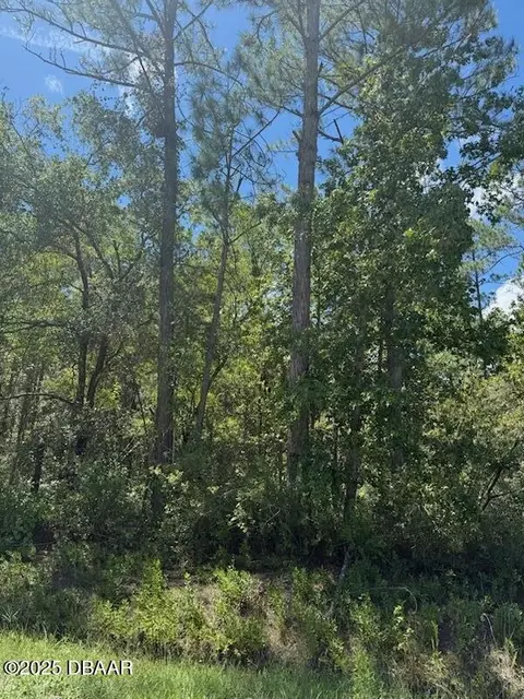 10345 Gregory Ave, Hastings, FL 32145