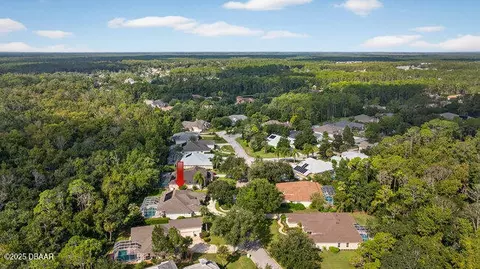 View/Area - 22 Old Bridge Way, Ormond Beach, FL 32174 photo 9 of 20
