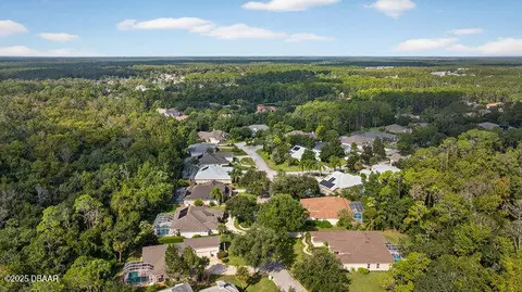 View/Area - 22 Old Bridge Way, Ormond Beach, FL 32174 photo 14 of 20