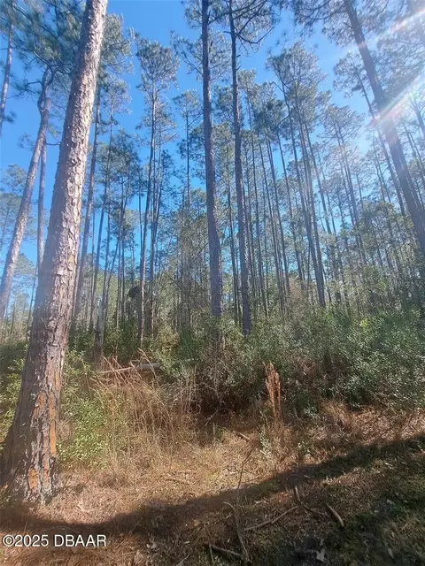 5146 Lime Ave, Bunnell, FL 32110 photo 2