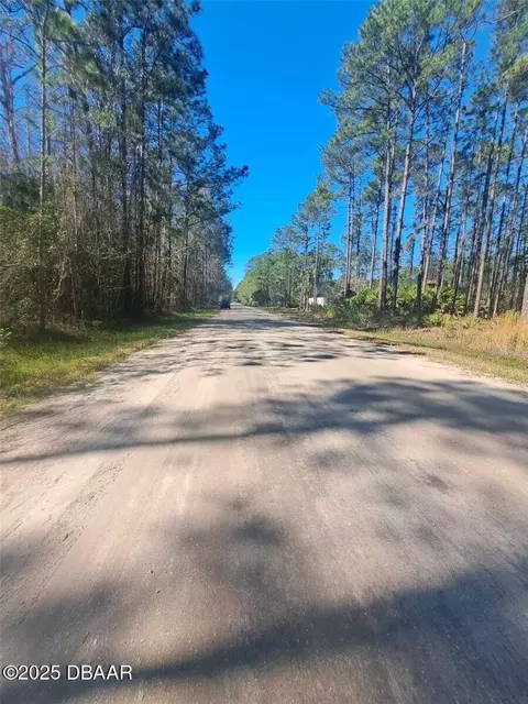 5146 Lime Ave, Bunnell, FL 32110 photo 4