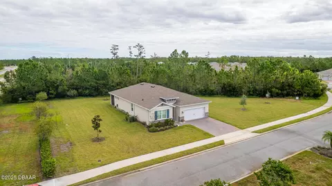 View/Area - 5 Crane Field Rd, Ormond Beach, FL 32174 photo 4 of 7