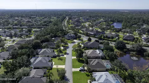 View/Area - 199 Black Hickory Way, Ormond Beach, FL 32174 photo 9 of 15