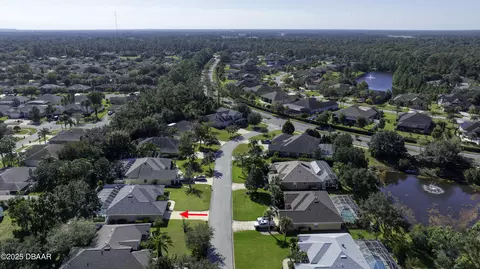 View/Area - 199 Black Hickory Way, Ormond Beach, FL 32174 photo 8 of 15