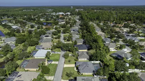 View/Area - 199 Black Hickory Way, Ormond Beach, FL 32174 photo 15 of 15