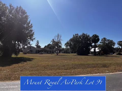 lot91 Lindsay Ln, Crescent City, FL 32112