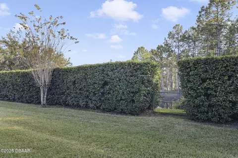20 Ardisia Cir, Ormond Beach, FL 32174 photo 25