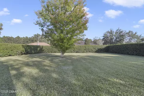 20 Ardisia Cir, Ormond Beach, FL 32174 photo 24