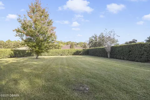 20 Ardisia Cir, Ormond Beach, FL 32174 photo 22