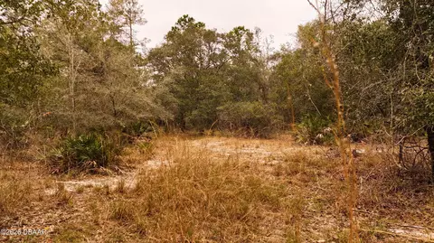 95 Pinto Ln, Ormond Beach, FL 32174 photo 9