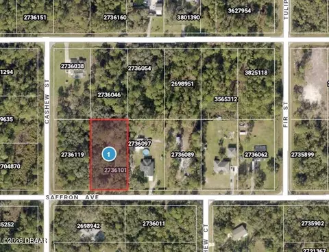 0 Saffron Ave, Eustis, FL 32736