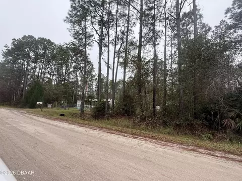 1880 Elder St, Bunnell, FL 32110 photo 28
