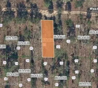 125 W Virginia St, Hawthorne, FL 32640