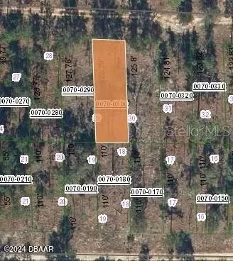 129 W Virginia St, Hawthorne, FL 32640